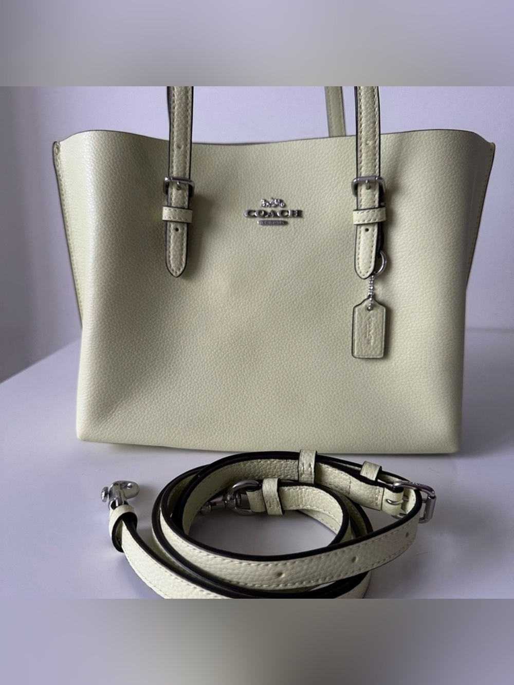 Coach Mollie 25 Leather Tote in Pale Green